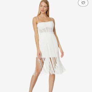 BCBG MAXAZARIA Fringe Corset Dress
